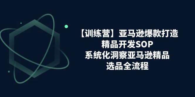 （11210期）【训练营】亚马逊爆款打造之精品开发SOP，系统化洞察亚马逊精品选品全流程