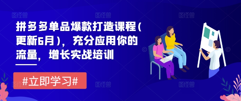 拼多多平台品类爆款打造课程内容(升级6月)，充分应用你的流量，提高实战培训