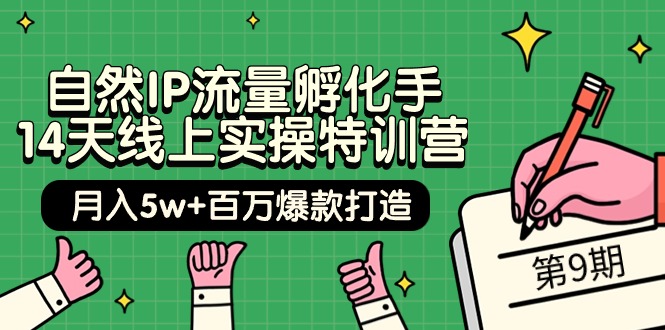 （9881期）当然IP总流量卵化手 14无线天线上实际操作夏令营【第9期】月入5w 上百万爆款打造 (74节)