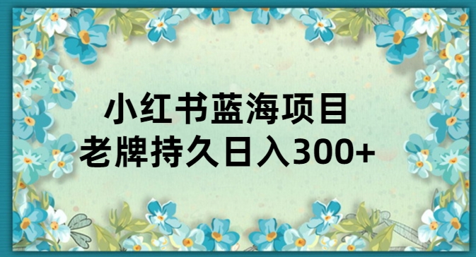 小红书的知名新项目，新手入门非常值得实际操作，日入300