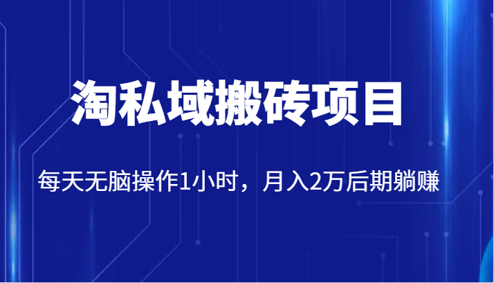 使用价值2980的淘公域搬砖项目，每日没脑子实际操作1钟头，月入2万中后期躺着赚钱