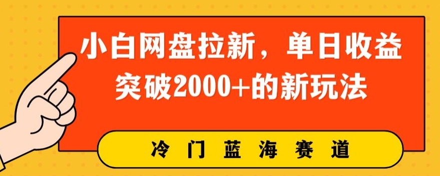 小白网盘引流，单日盈利提升2000 的新玩法