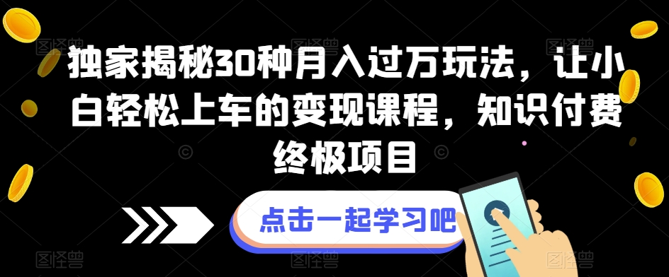 独家代理揭密30种月入了万游戏玩法，让新手轻轻松松上车的转现课程内容，社交电商最终新项目【揭密】