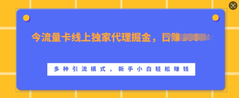 上网卡网上独家经营掘金队，日入1k ，多种多样引流方法方式，新手入门快速上手【揭密】