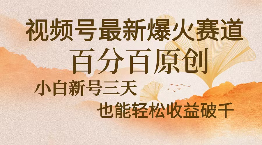 （13225期）视频号最新爆火赛道，中老年粉深信不疑，百分百原创，新号三天收益轻松...