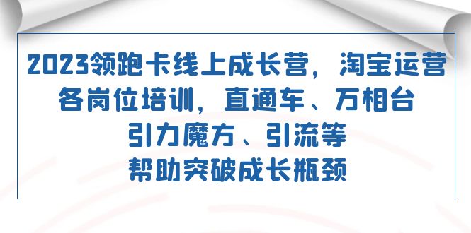 （7462期）2023领先·卡 网上成长营 淘宝店铺运营各专业技能培训 淘宝直通车 万相台 吸引力三阶魔方 引流方法