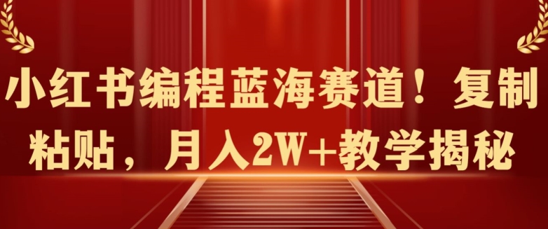 小红书编程蓝海赛道!复制粘贴，月入2W+教学揭秘