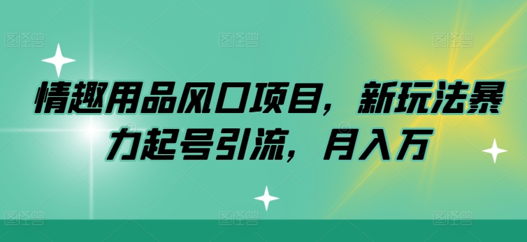 情趣用具蓝海项目，新模式暴力行为养号引流方法，月入万