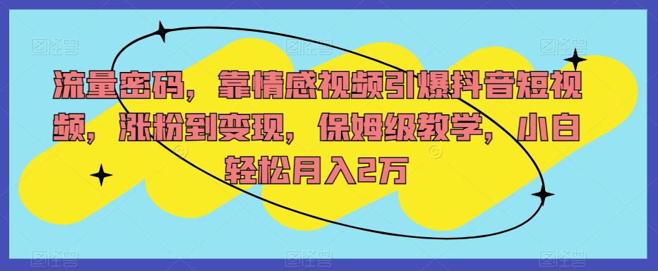 总流量登陆密码，靠短视频点爆抖音小视频，增粉到转现，家庭保姆级课堂教学，新手轻轻松松月入2万【揭密】