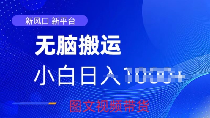 京东视频图文搬运带货项目，蓝海赛道小白轻松上手，每天一小时轻松获取收益