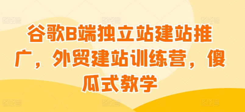 谷歌搜索B端独立站建站营销推广，外贸网站建设夏令营，简单化课堂教学