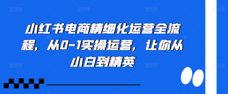 小红书电商精细化营销全过程，从0-1实际操作经营，使你从小白到精锐