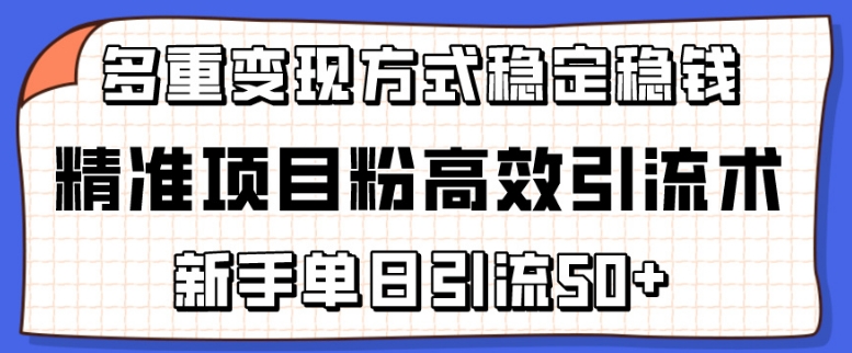 精确新项目粉高效率引流术，初学者单日引流方法50 ，多种变现模式稳定赚钱【揭密】