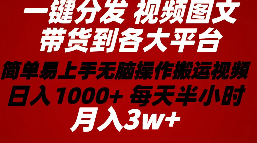 （10667期）2024年 一键分发卖货图文视频  简单易上手 没脑子赚盈利 每天一小时日入1…