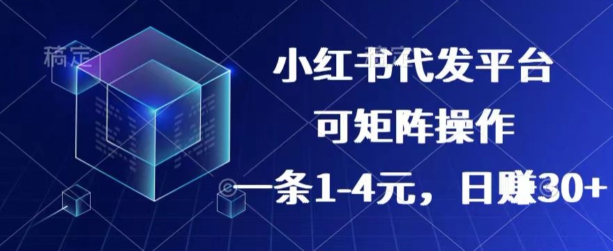 【小红书的 抖音视频】代发平台，一条1~4元，日赚30 的可靠小程序，可引流矩阵实际操作