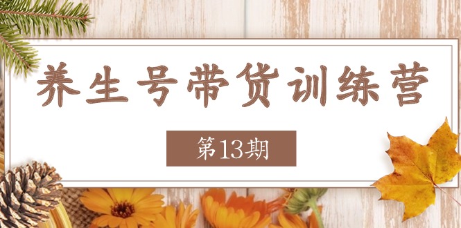 健康养生号卖货夏令营【第13期】盈利更稳定的游戏玩法，使你卖货盈利发生爆炸