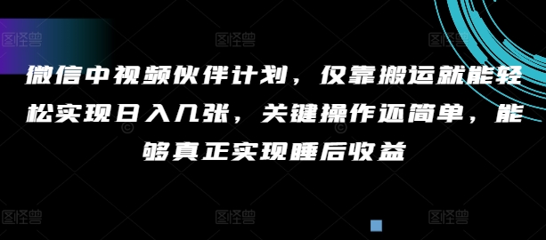 手机微信中视频伙伴方案，只靠运送就能轻轻松松完成日入多张，重要实际操作还简单，可以更好的完成睡后盈利