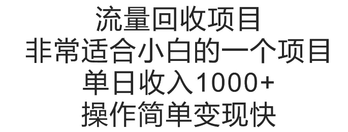 流量回收项目，非常适合小白的一个项目单日收入多张，操作简单变现快