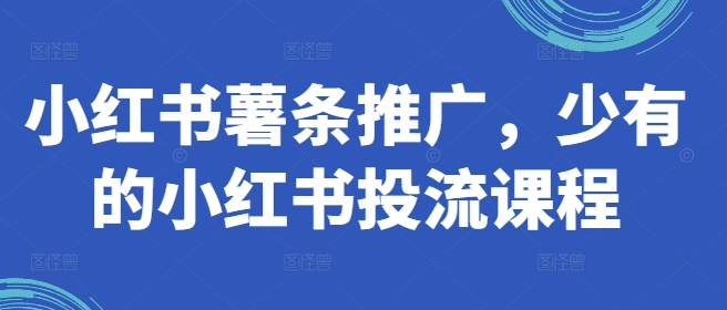 小红书的炸薯条营销推广，难得少有的小红书投流课程内容