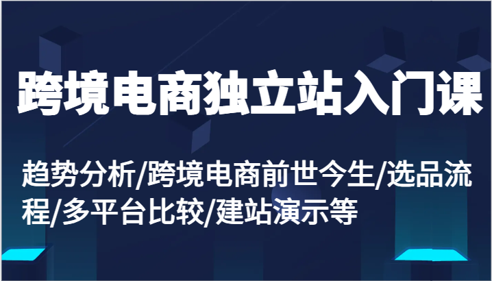 跨境电商电商独立站新手入门课：变化趋势/跨境电子商务来世今生/选款步骤/全平台较为/建网站演试等