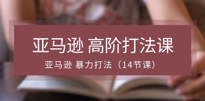 （10870期）亚马逊平台 高级玩法课，亚马逊平台 暴力行为玩法（14堂课）