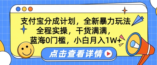 瀚海0门坎，支付宝钱包分为方案，全新升级暴力行为游戏玩法，全过程实际操作，满满的干货，新手月入1W