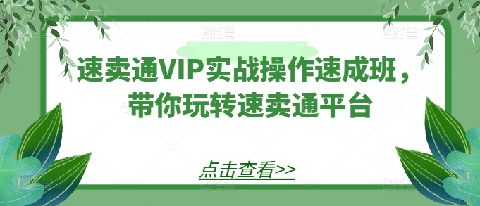 全球速卖通VIP实战操作短期培训班，带你玩转速卖通平台