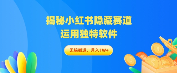 揭密小红书的掩藏跑道，应用与众不同手机软件轻轻松松没脑子运送