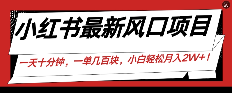 小红书最新风口项目，一天只用10分钟，一单几百块，小白简单无脑操作!