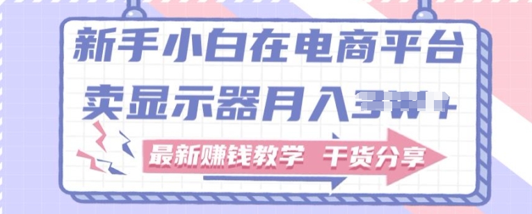 新手入门怎样做到在电商平台卖显示屏，最新赚钱课堂教学满满干货