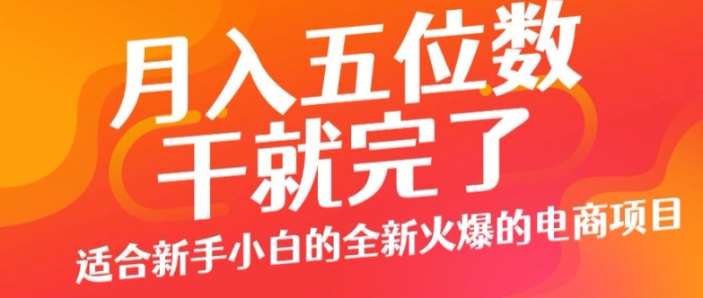 月入五位数，干就完了， 适宜新手入门一个全新的火热的电商项目