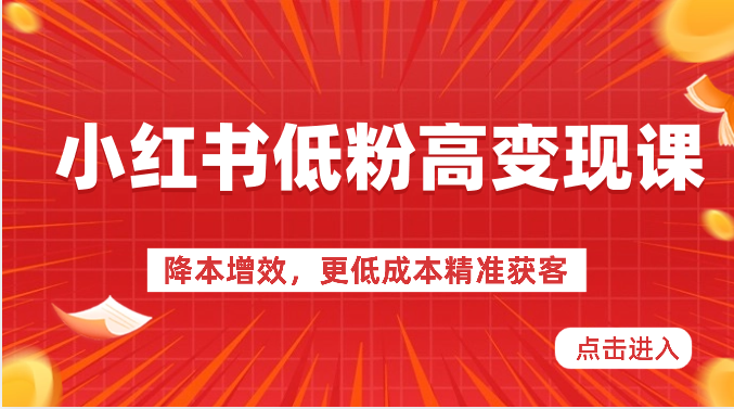 小红书的低筋粉高转现课-降低成本，更低成本营销获客，小红书的必出平台流量登陆密码