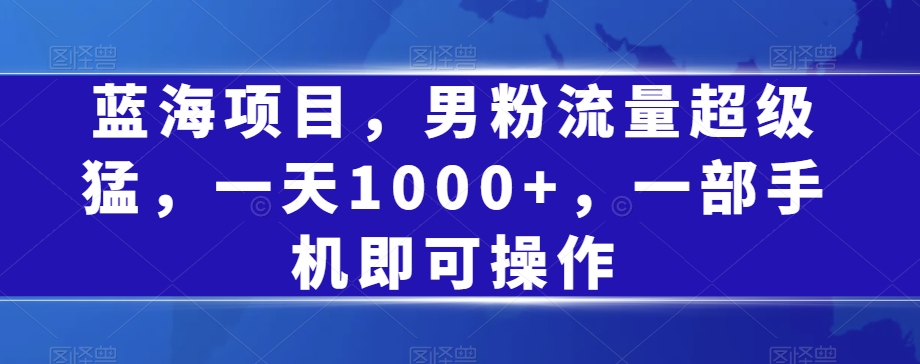 蓝海项目，粉丝总流量非常猛，一天1000 ，一部手机即可操作【揭密】