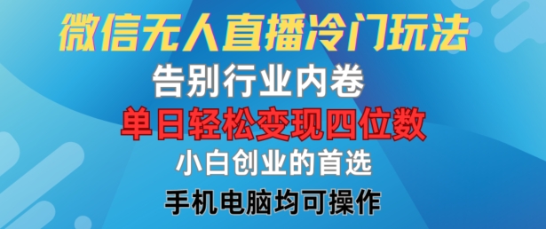 微信无人在线小众游戏玩法，道别业内卷，单日轻轻松松转现四位数，新手的自主创业优选【揭密】