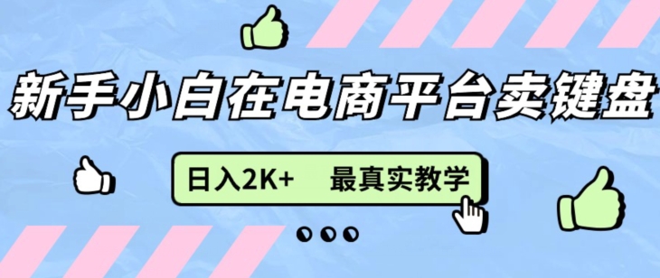 全新无货源电商0成本费电子商务，新手入门能做，后面帮扶打满，细腻课堂教学