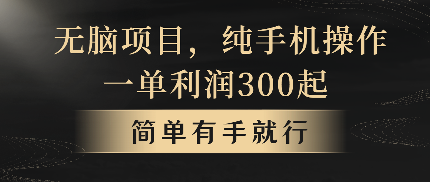 （10589期）没脑子新项目，一单几百元，轻轻松松月入5w ，看了就可以直接实际操作