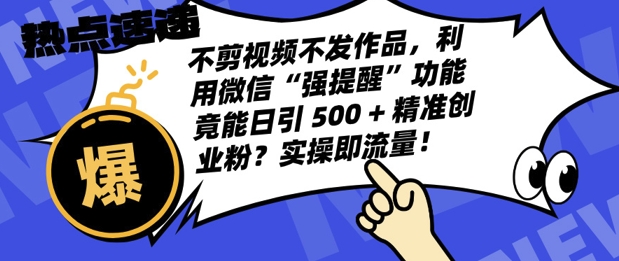 不剪视频不发作品，视频号私信日引 500 + 精准创业粉?实操即流量!