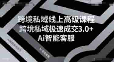 跨境私域线上高级课程，跨境私域极速成交3.0+Ai智能客服