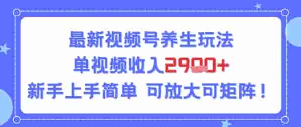 视频号养生玩法，单视频收入2.9k，新手上手简单