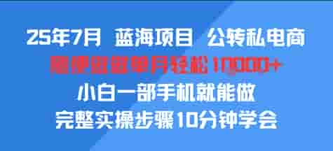 25年7月蓝海项目，公转私电商，随便做做单月轻松1w，小白一部手机就能做，完整实操步骤10分钟学会