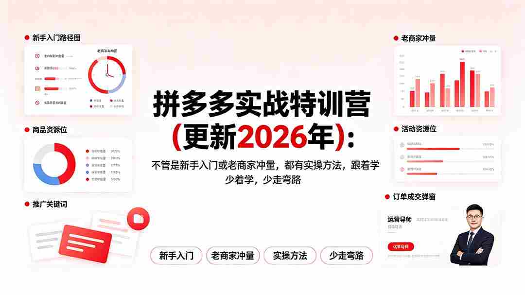（19291期）拼多多实战特训营(更新2026年)：不管是新手入门或老商家冲量，都有实操方法，跟着学，少走弯路