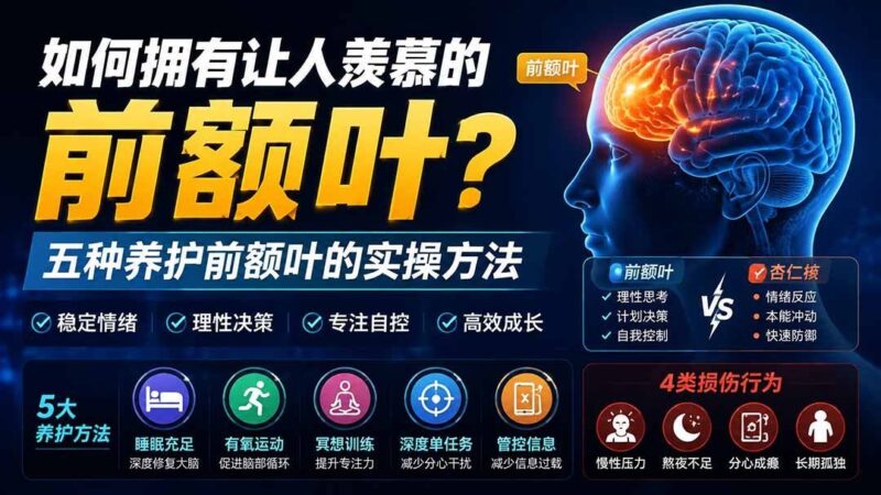 【2026.08.10】解锁大脑潜能：五招科学养护前额叶，打造令人惊叹的思维优势